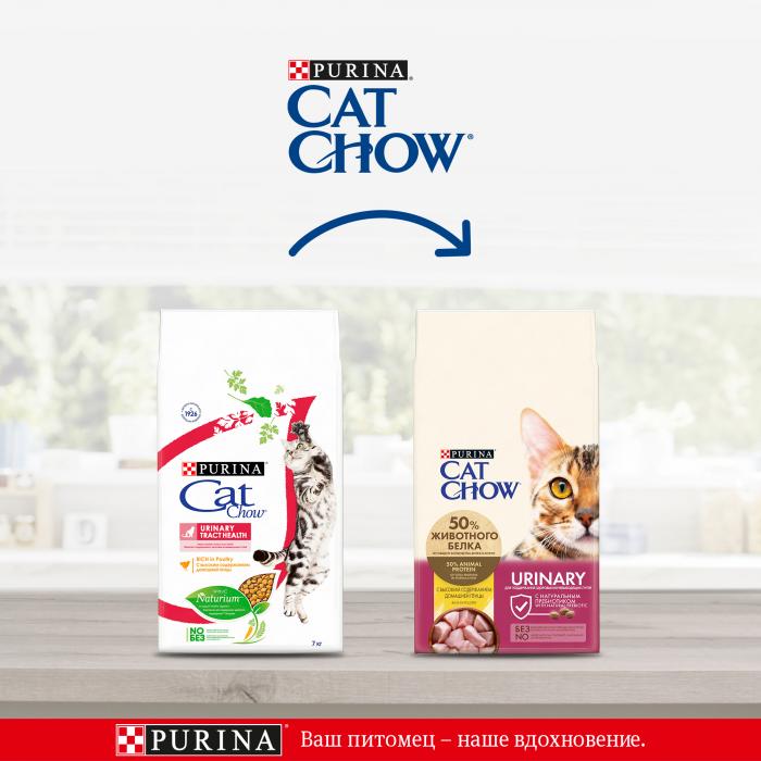 Cat Chow сухой корм для взрослых кошек всех пород, профилактика МКБ