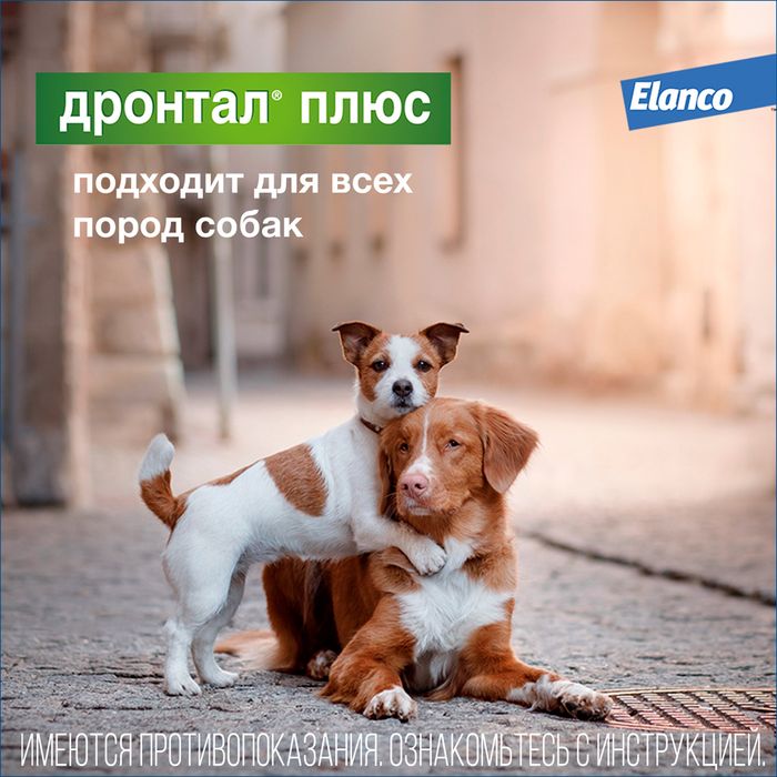 Elanco Дронтал плюс таблетки для собак малых и средних пород, от гельминтов, со вкусом мяса