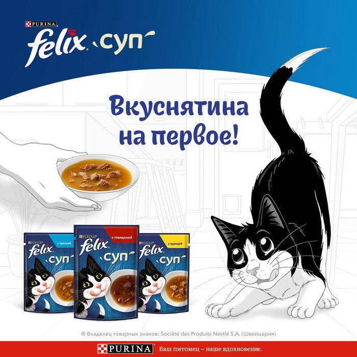 Влажный корм Felix® Суп для взрослых кошек, с курицей