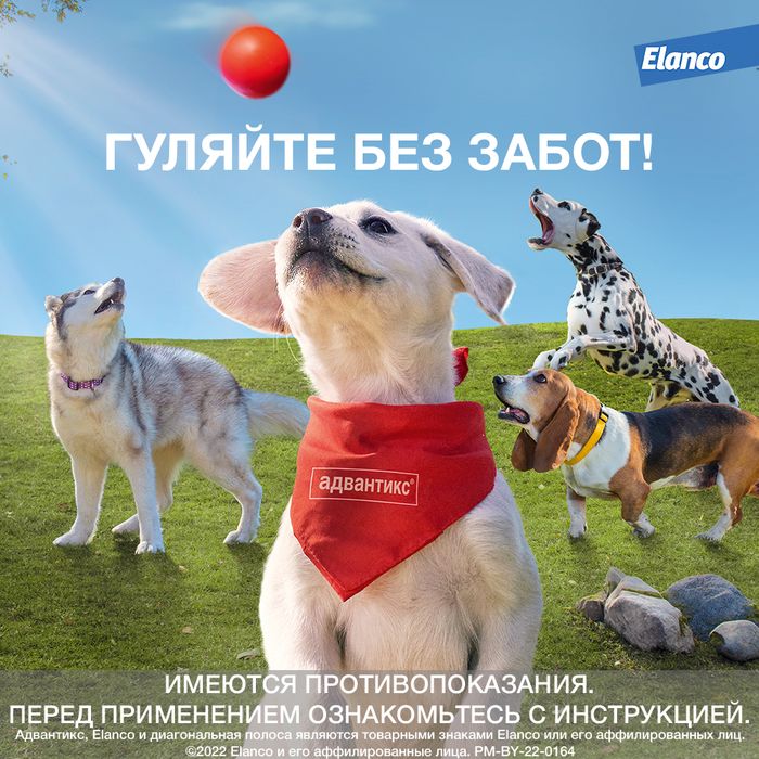 Elanco Адвантикс капли для щенков и собак 10-25 кг, от клещей, блох и комаров