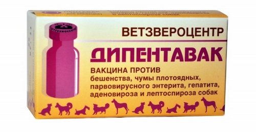 Дипентавак вакцина для собак