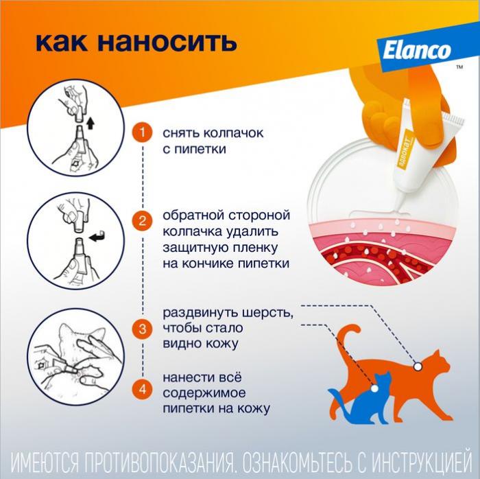 Elanco Адвокат капли на холку для котят и кошек до 4 кг, от клещей и блох