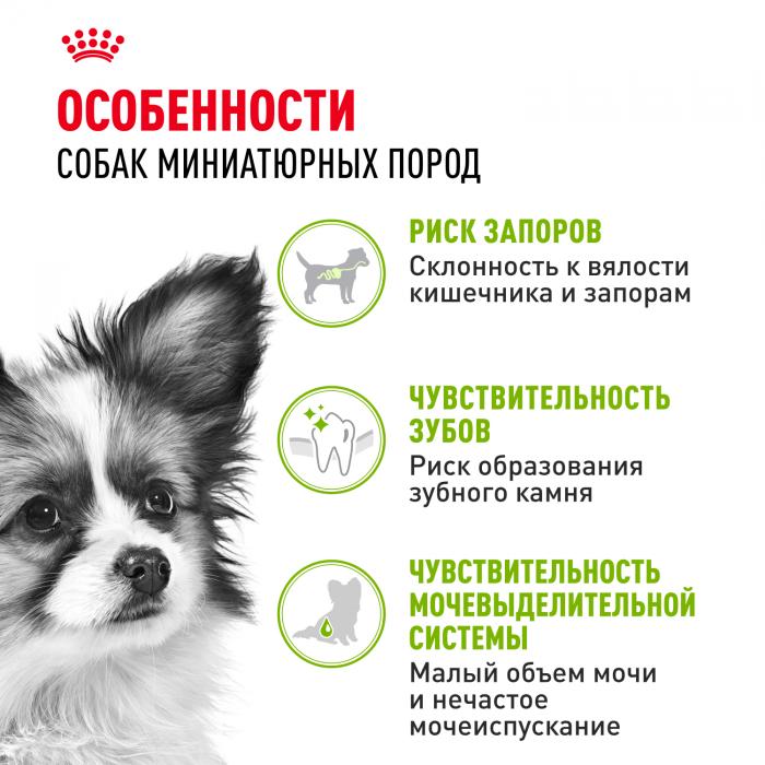 Royal Canin X-Small Adult сухой корм для собак миниатюрных пород