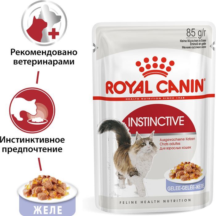 Royal Canin влажный корм для взрослых кошек, здоровье МКБ и контроль веса, в желе  