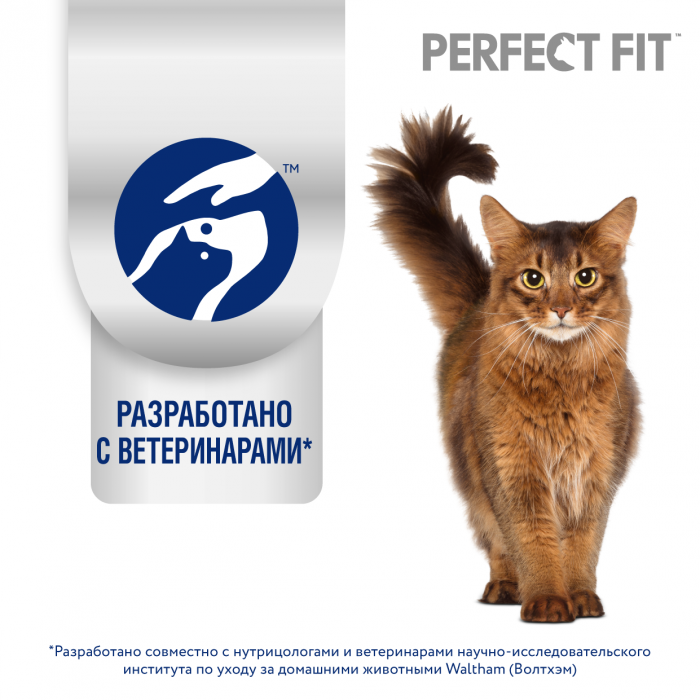 Perfect Fit Здоровье почек корм для взрослых кошек, с лососем