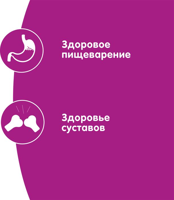 Whiskas влажный корм для кошек старше 7 лет рагу с курицей