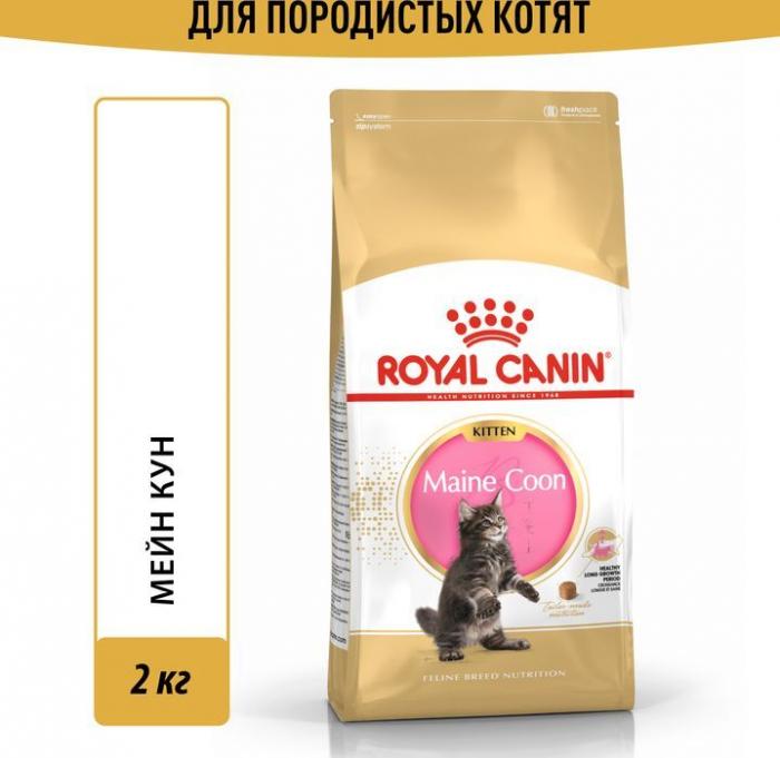 Royal Canin корм для котят породы Мэйн Кун и других крупных пород