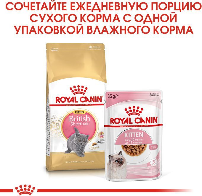 Royal Canin корм для котят породы Британская короткошёрстная