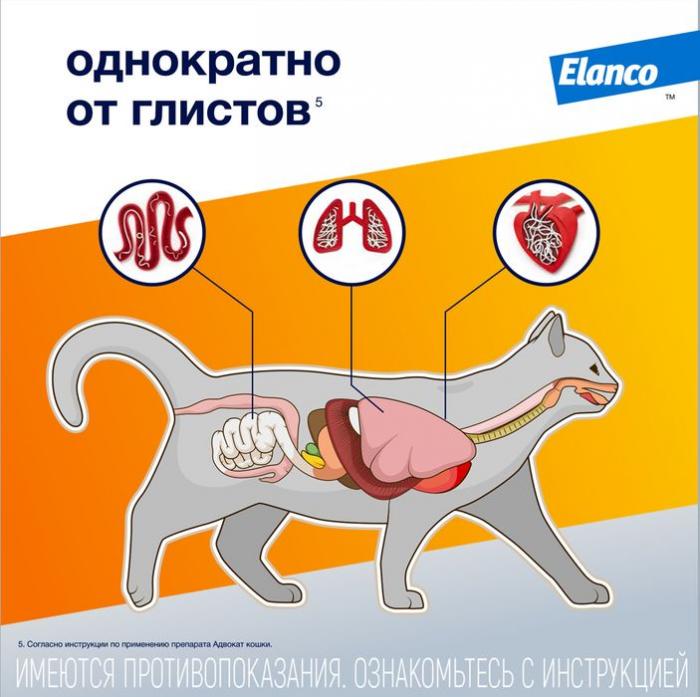 Elanco Адвокат капли на холку для котят и кошек до 4 кг, от клещей и блох