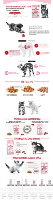 Royal Canin Kitten влажный корм для котят от 4 до 12 месяцев, паштет