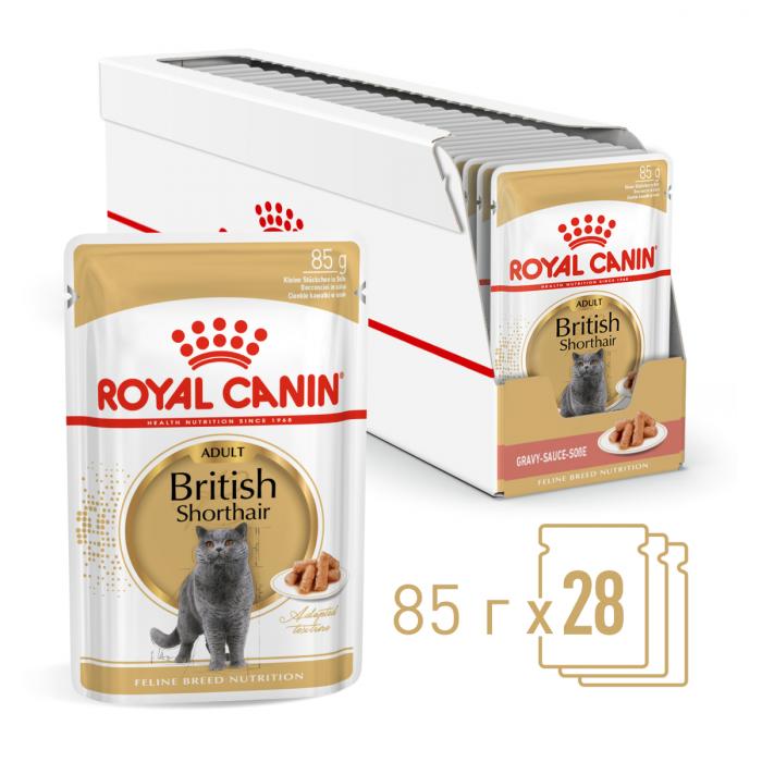 Royal Canin British Shorthair Adult влажный корм для кошек британской короткошерстной породы в соусе