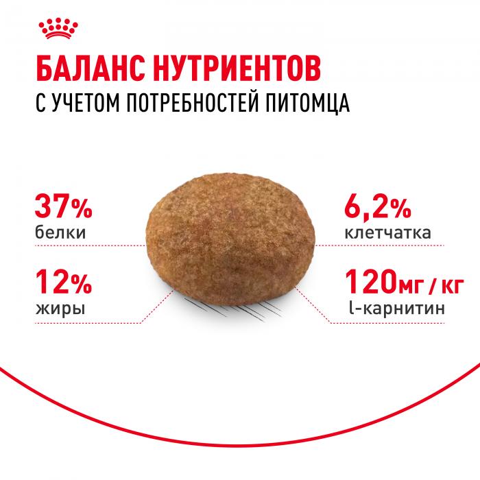 Royal Canin Sterilised 37 сухой корм для стерилизованных кошек и котов