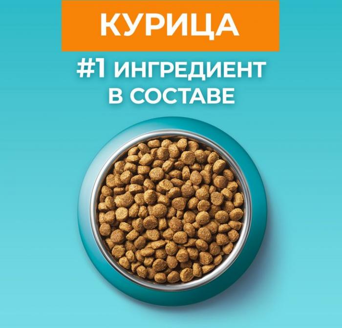 Сухой корм Purina ONE® полнорационный для кошек старше 11 лет, с высоким содержанием курицы