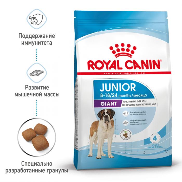 Royal Canin Giant Junior сухой корм для щенков гигантских пород