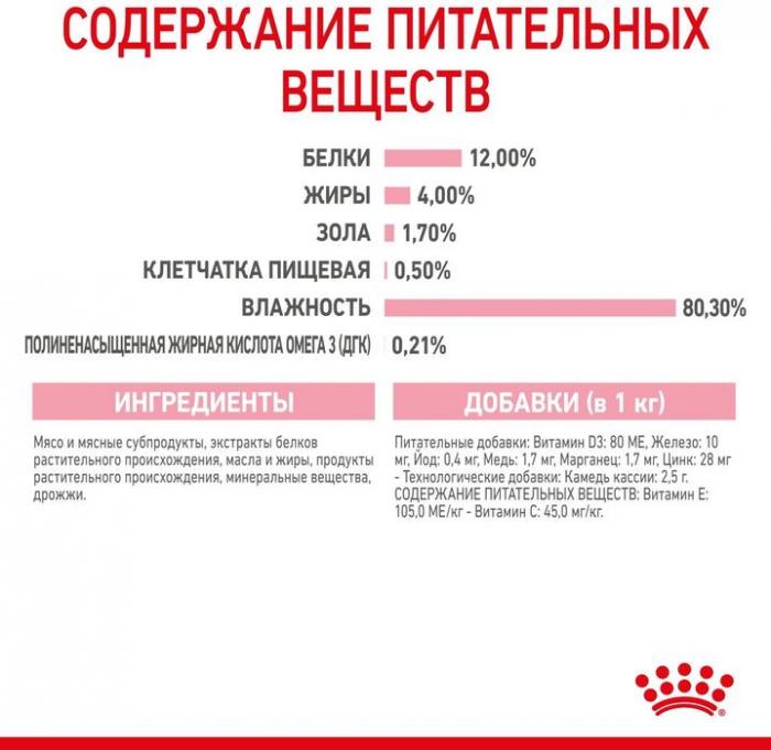 Royal Canin влажный корм для котят всех пород, в желе