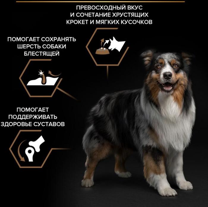Сухой корм Pro Plan® Duo Delice для взрослых собак средних и крупных пород, с высоким содержанием говядины