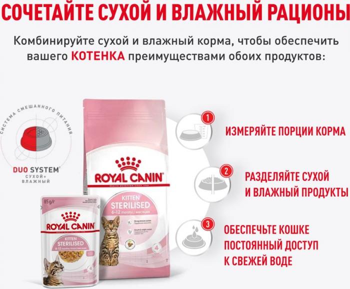 Royal Canin влажный корм для стерилизованных котят, кусочки в желе