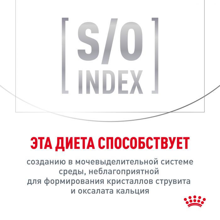 Royal Canin Gastro Intestinal лечебный сухой корм для кошек при нарушениях пищеварения