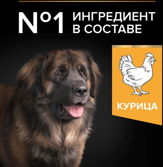 Сухой корм Pro Plan® Everyday Nutrition для взрослых собак крупных пород с мощным телосложением, с высоким содержанием курицы