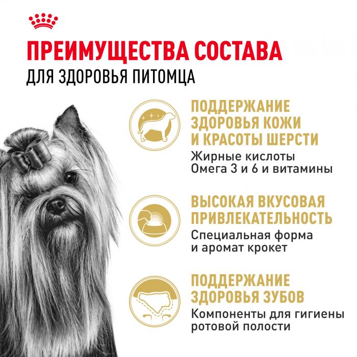 Royal Canin Yorkshire Terrier сухой корм для собак породы йоркширский терьер старше 10 месяцев