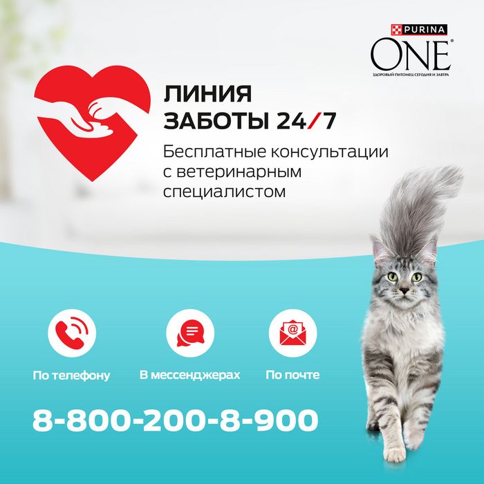Сухой корм Purina ONE® для стерилизованных кошек и кастрированных котов, с высоким содержанием говядины и пшеницей