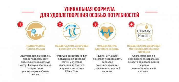 Royal Canin Maine Coon Adult сухой корм для крупных кошек породы мейн-кун