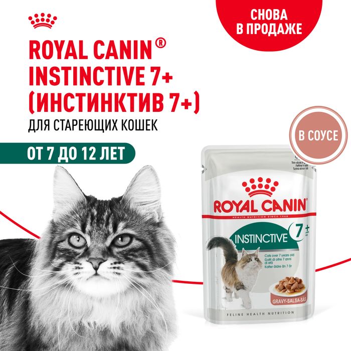 Royal Canin влажный корм для пожилых кошек всех пород, мелкие кусочки в соусе