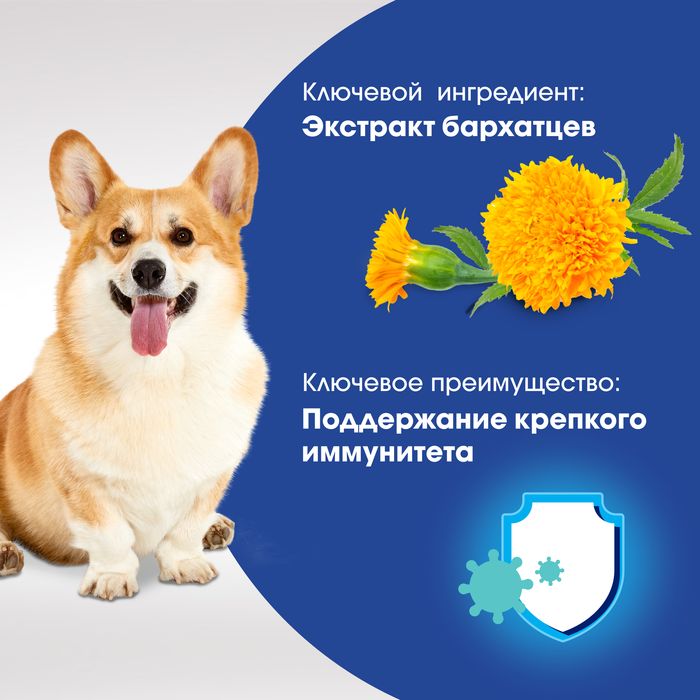 Perfect Fit Immunity лакомство для собак, для иммунитета, говядина и экстракт бархатцев