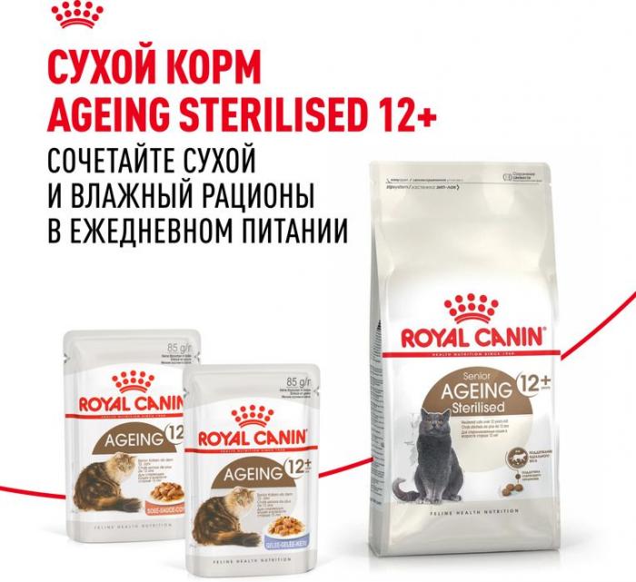 Royal Canin влажный корм для пожилых (12+) кошек, здоровье суставов, почек, мелкие кусочки в желе