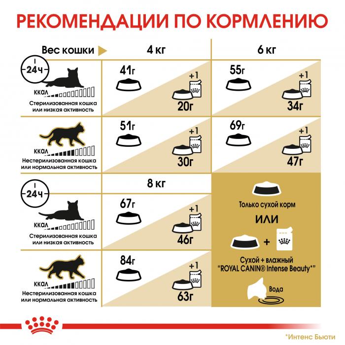 Royal Canin Siberian сухой корм для сибирских кошек