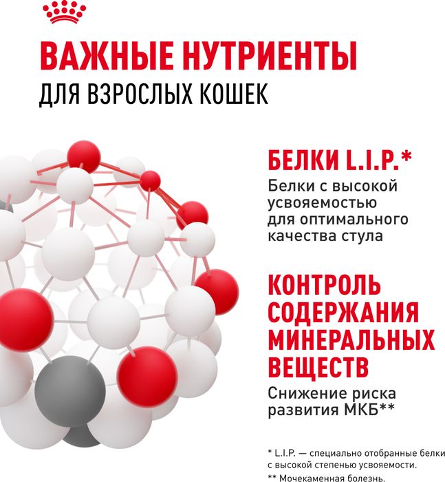 Royal Canin Indoor Sterilised влажный корм для стерилизованных кошек, живущих в помещении, кусочки в желе