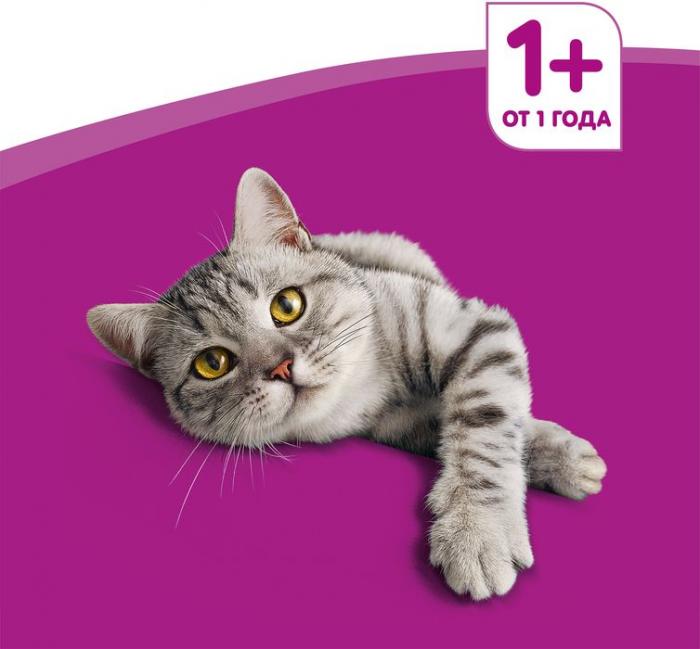Whiskas влажный корм мясная коллекция для кошек с говядиной