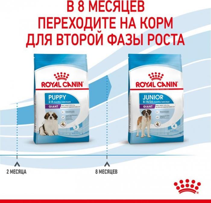 Royal Canin корм для щенков гигантских пород (с 2 до 8 месяцев)