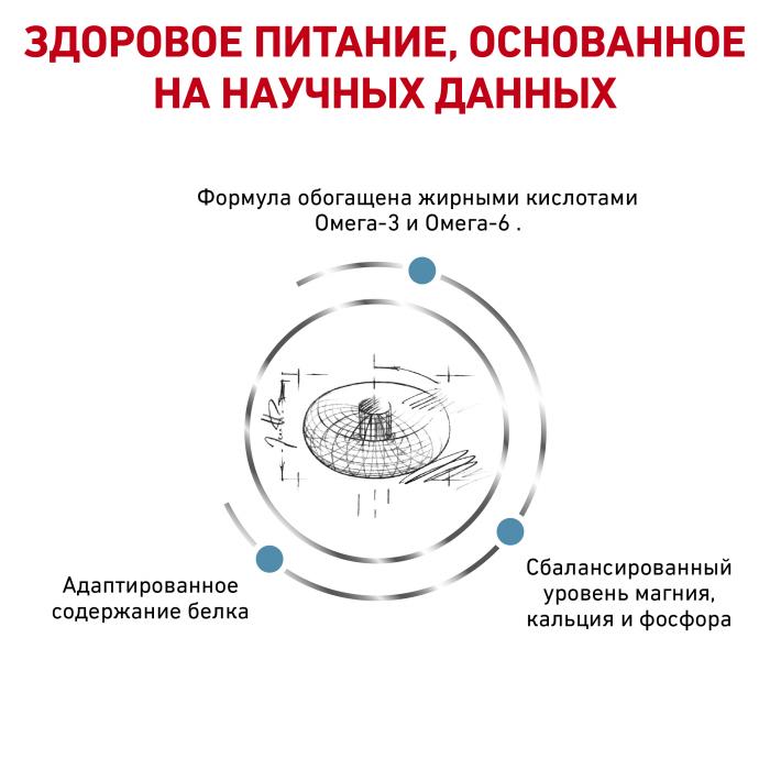 Royal Canin сухой корм для стерилизованных кошек, при проблемах с кожей