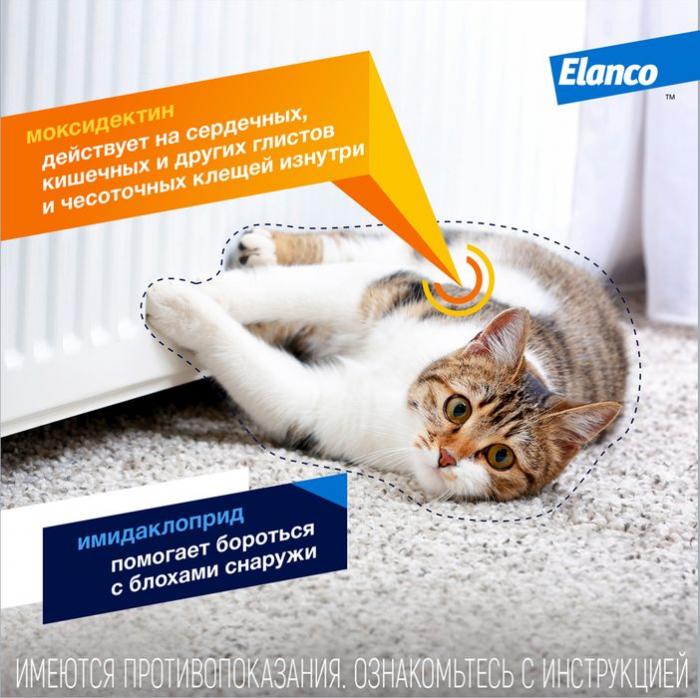 Elanco Адвокат капли на холку для котят и кошек 4-8 кг, от клещей и блох