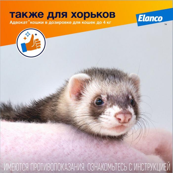 Elanco Адвокат капли на холку для котят и кошек 4-8 кг, от клещей и блох