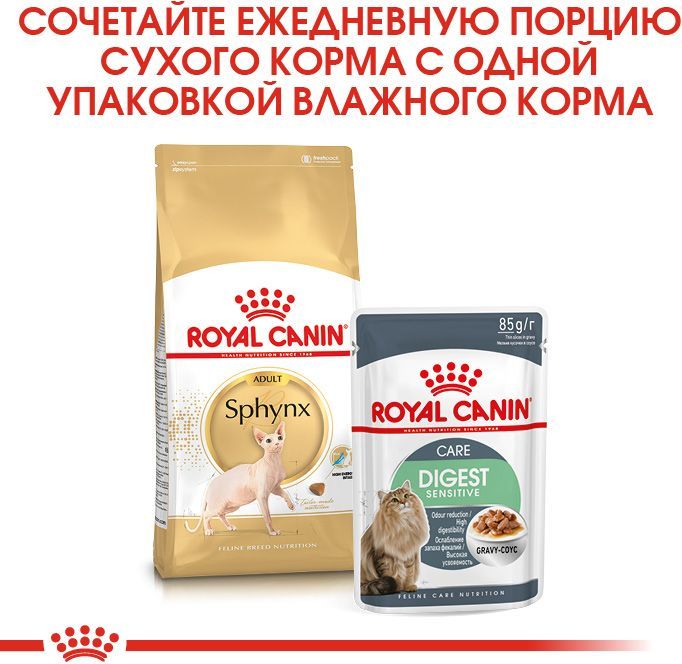 Royal Canin корм для взрослой кошки породы Сфинкс