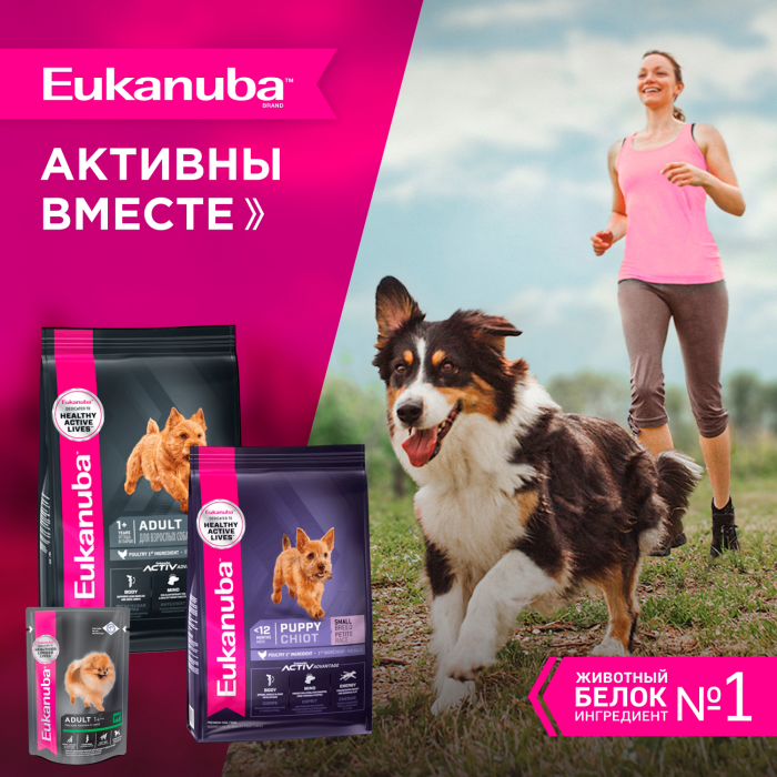 Eukanuba сухой корм для собак мелких пород с курицей
