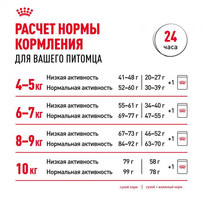 Royal Canin Maine Coon Adult сухой корм для крупных кошек породы мейн-кун