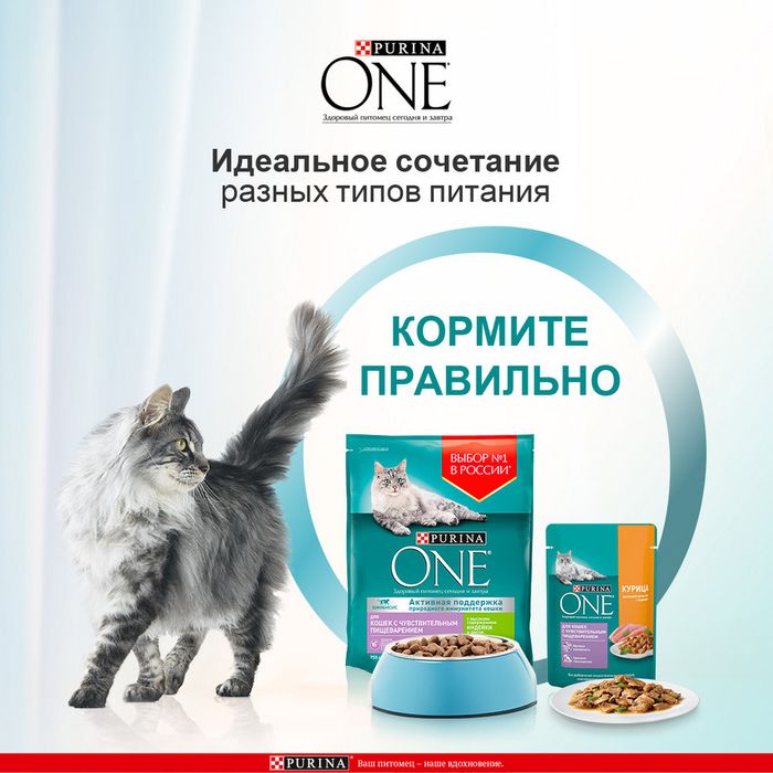 Влажный корм Purina ONE® для кошек с чувствительным пищеварением, с курицей и морковью