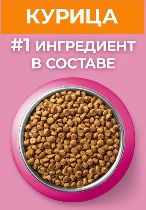 Сухой корм Purina ONE® полнорационный для котят, с высоким содержанием курицы