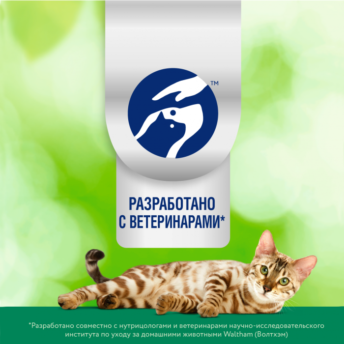 Perfect Fit Immunity влажный корм для кошек, для поддержания иммунитета, с индейкой в желе, с добавлением спирулины