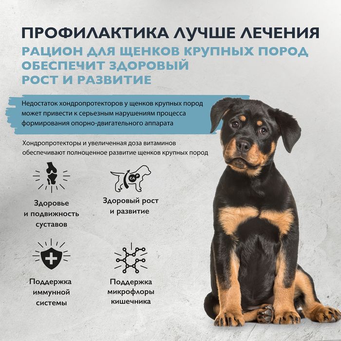 Brit Care Dog Puppy&Junior L Healthy Growth корм для щенков, индейка с ягненком