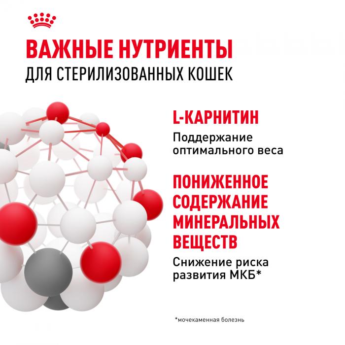 Royal Canin влажный корм для стерилизованных взрослых кошек всех пород, кусочки в желе
