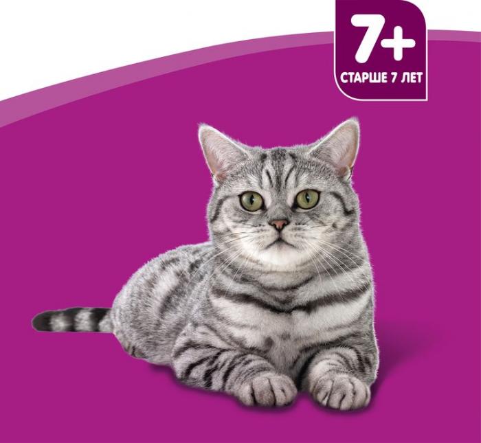 Whiskas влажный корм для кошек старше 7 лет рагу с курицей