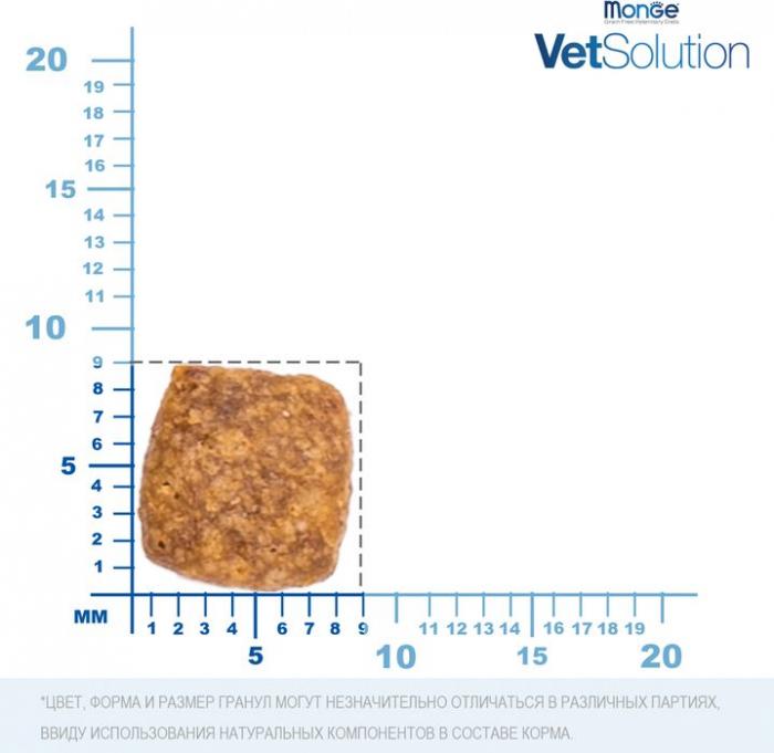 Monge VetSolution Cat Urinary Oxalate диета лечебный корм для кошек при МКБ оксалатного типа