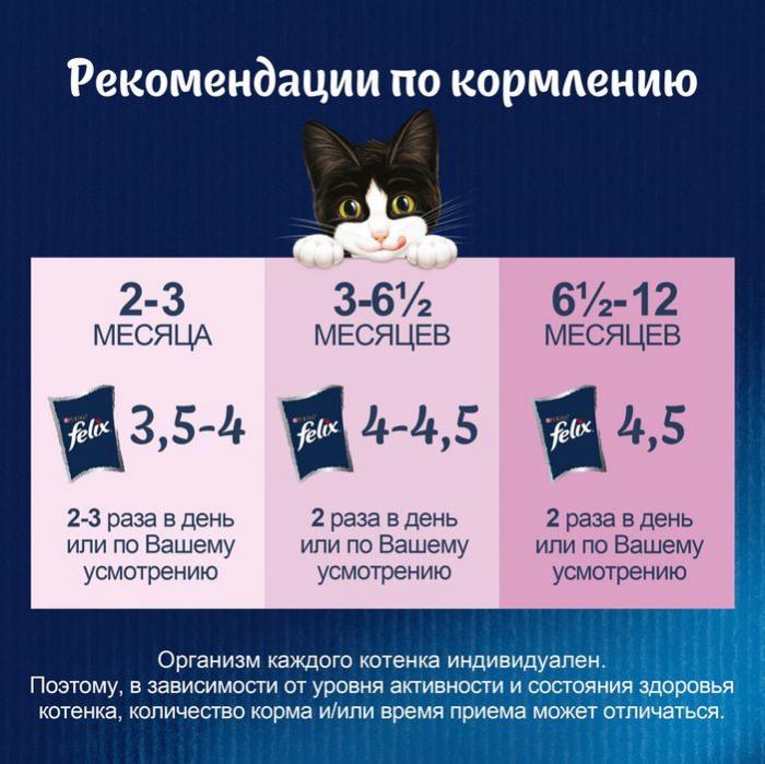 Влажный корм Felix® Аппетитные кусочки для котят, с курицей в желе