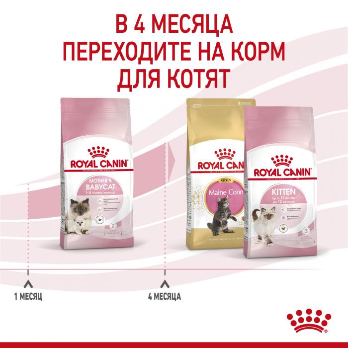 Royal Canin Kitten Mother&Baby cat сухой корм для котят и беременных кошек