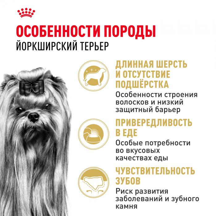 Royal Canin Yorkshire Terrier сухой корм для собак породы йоркширский терьер старше 10 месяцев