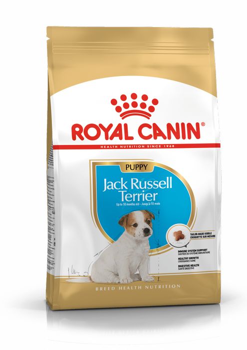 Royal Canin Jack Russell Terrier Junior сухой корм для щенков породы джек рассел терьер